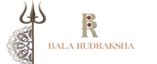 Bala Rudraksha