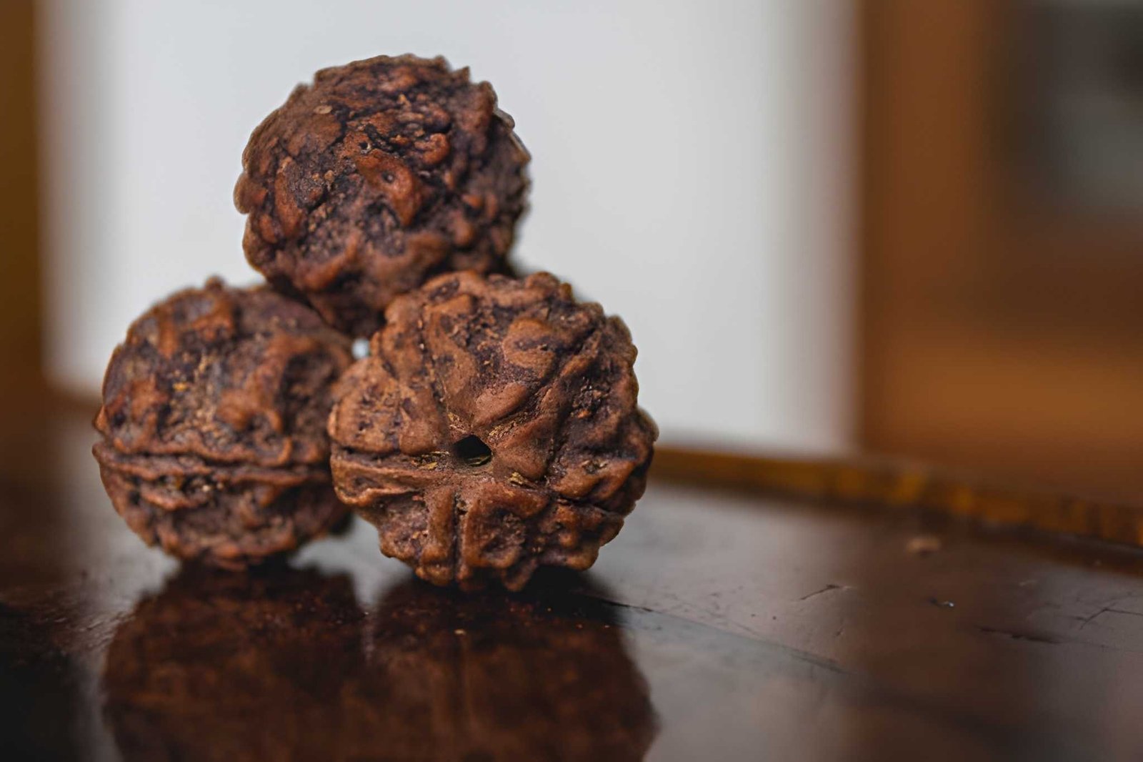 Sacred Rudraksha spiritual respect