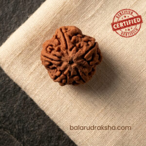 5 MUKHI RUDRAKSHA