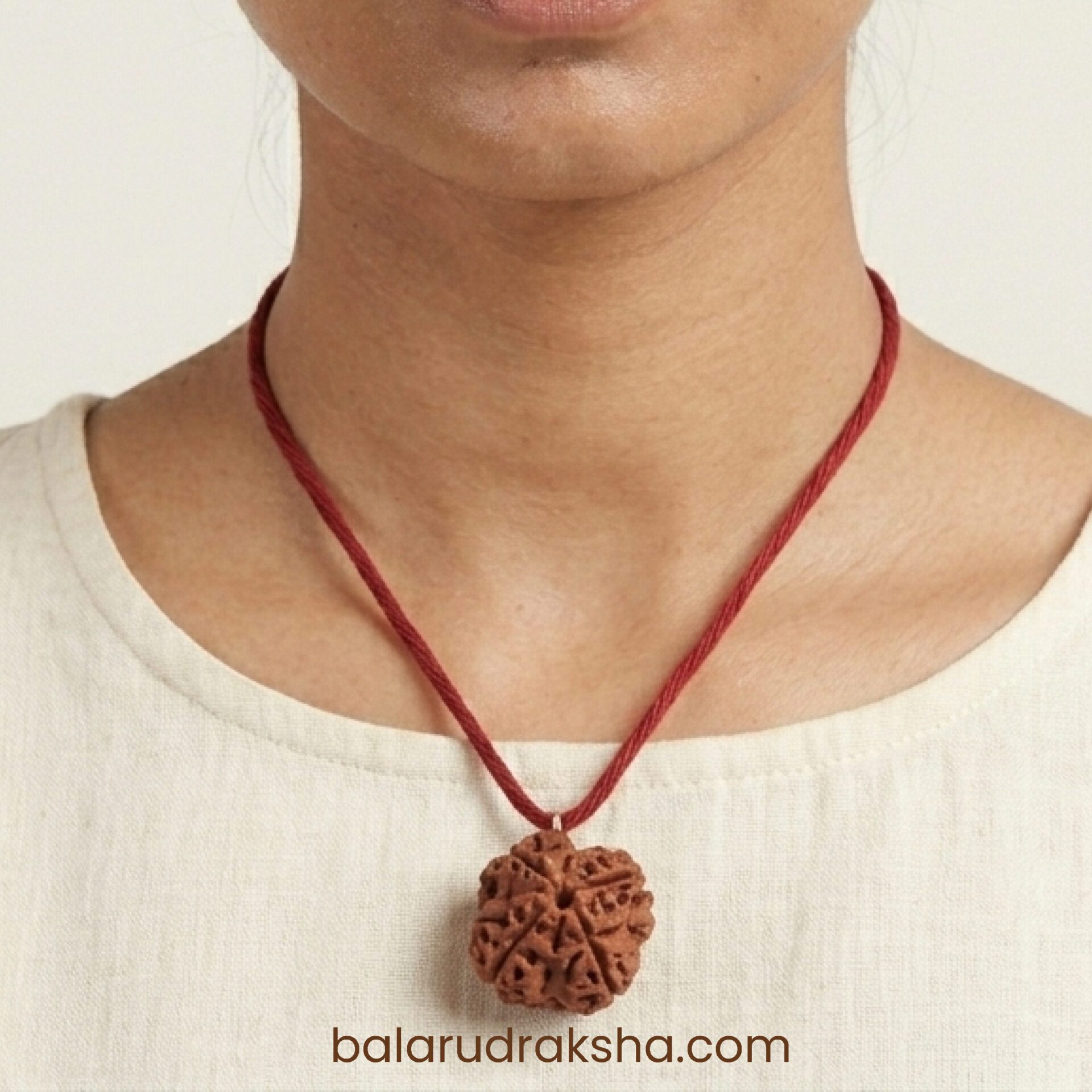 4 Mukhi Rudraksha - Image 4