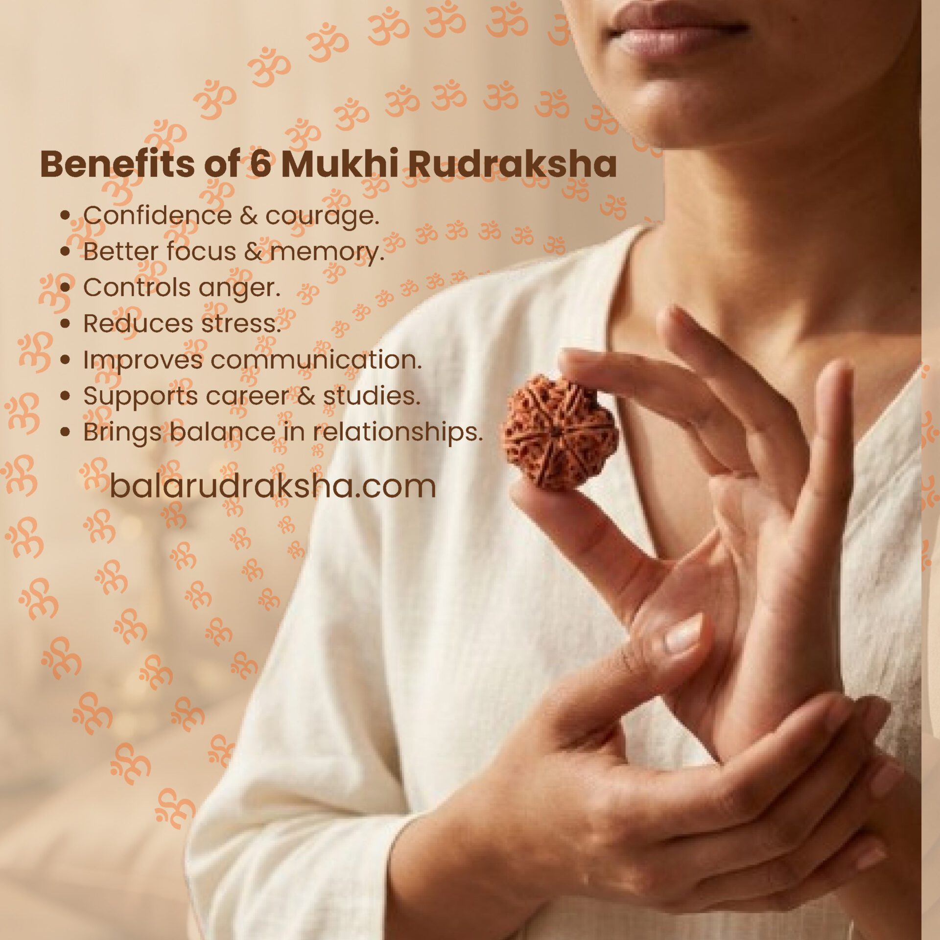 6 Mukhi Rudraksha - Image 3