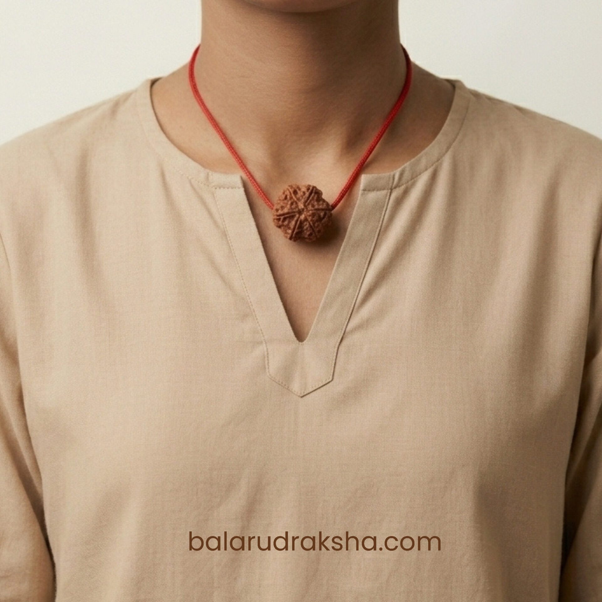 6 Mukhi Rudraksha - Image 4