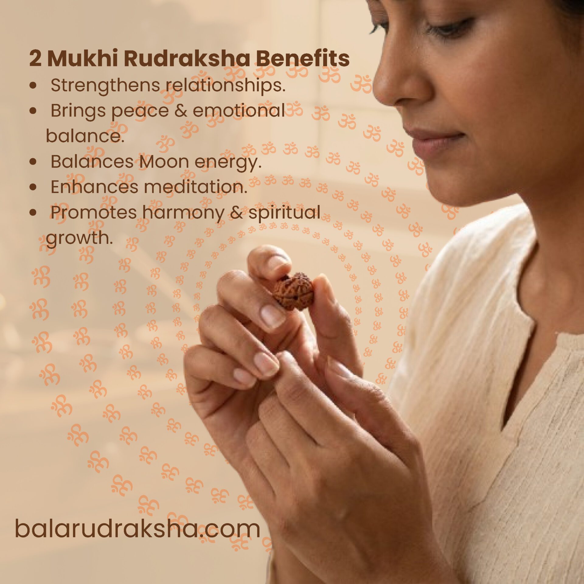 2 Mukhi Rudraksha - Image 5
