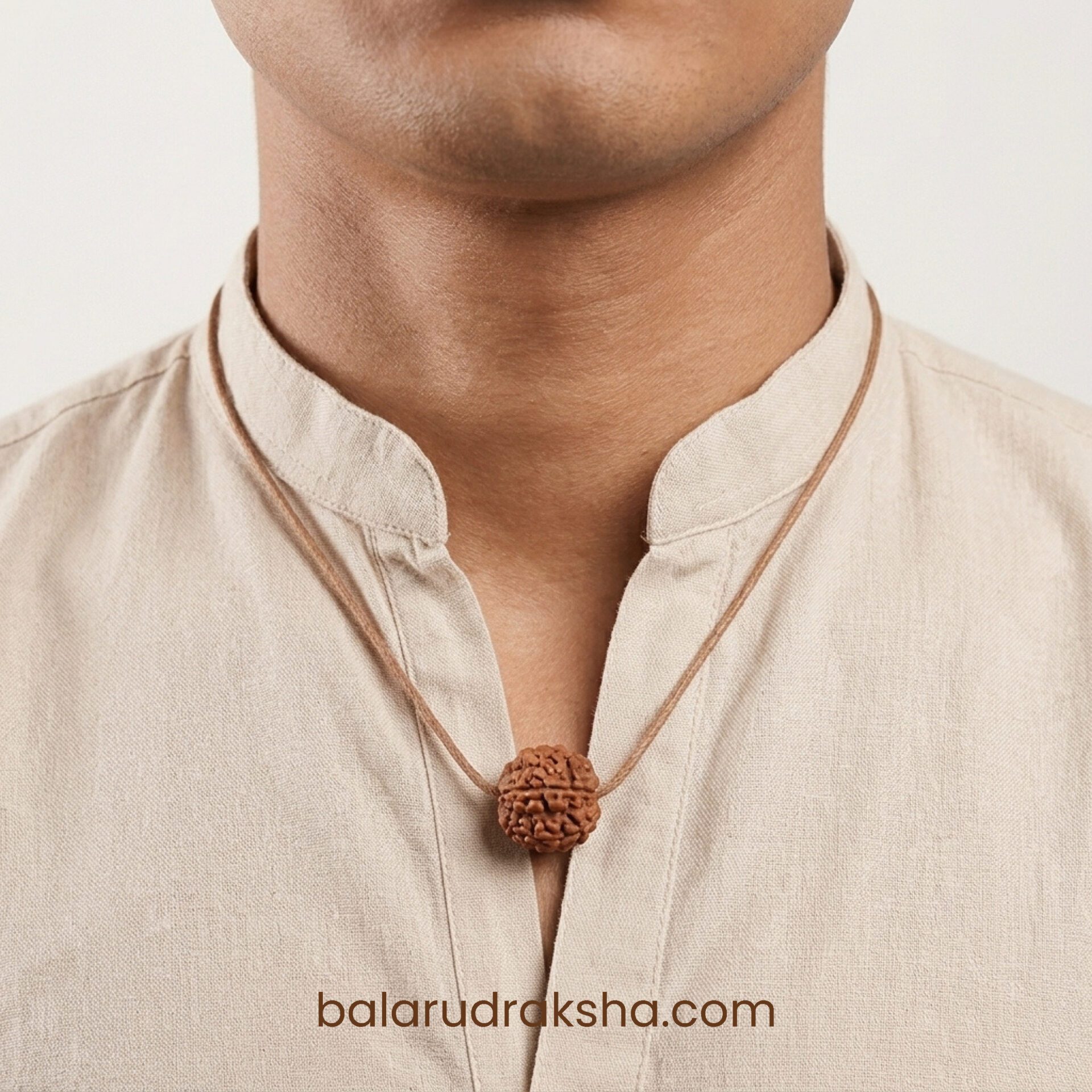 2 Mukhi Rudraksha - Image 6