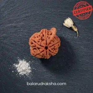 Ganesh Rudraksha