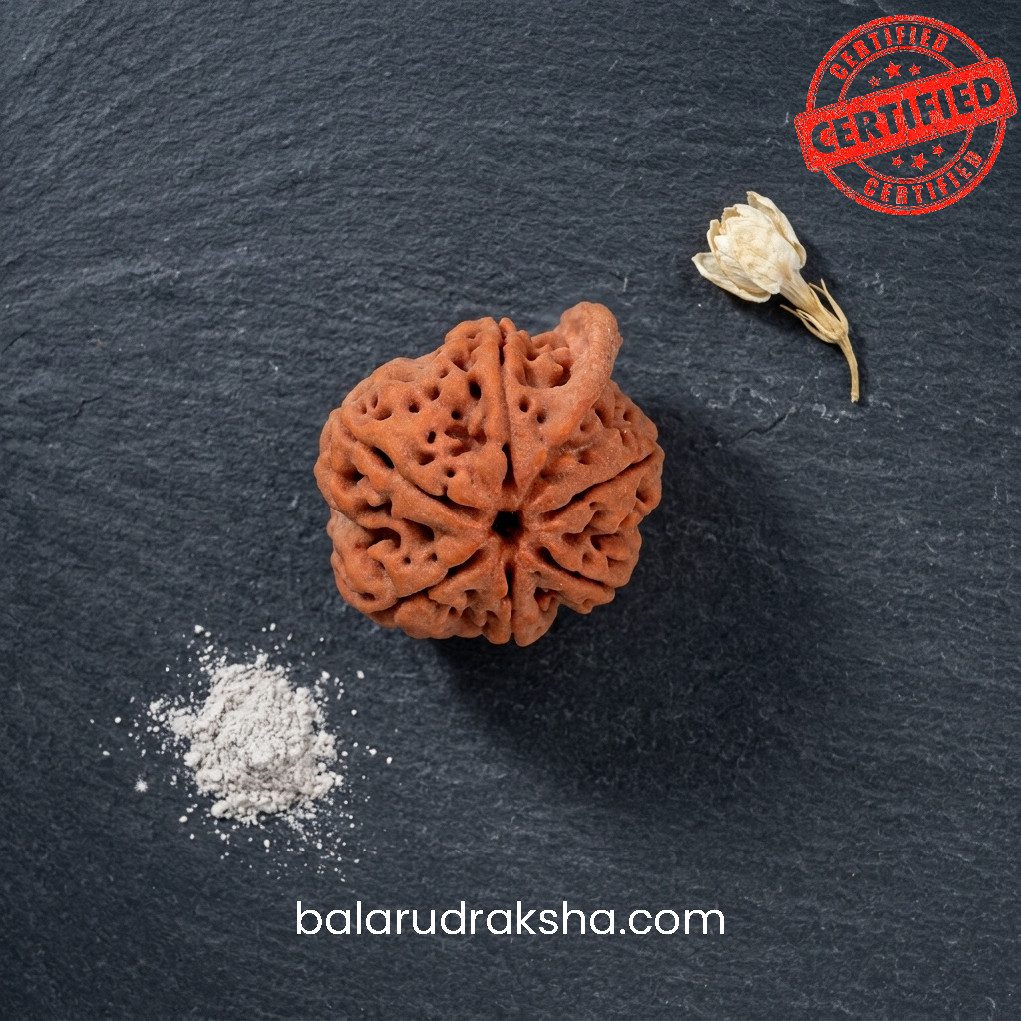Ganesh Rudraksha