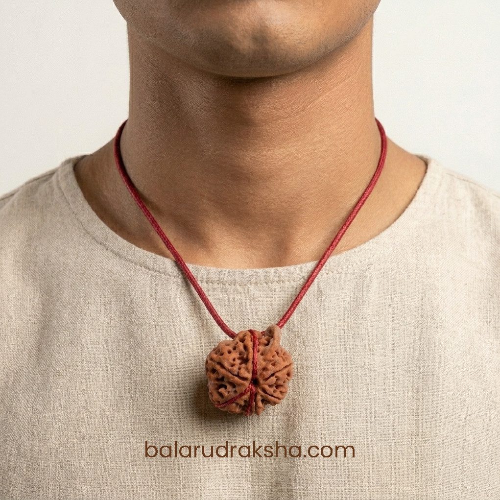Ganesh Rudraksha - Image 4
