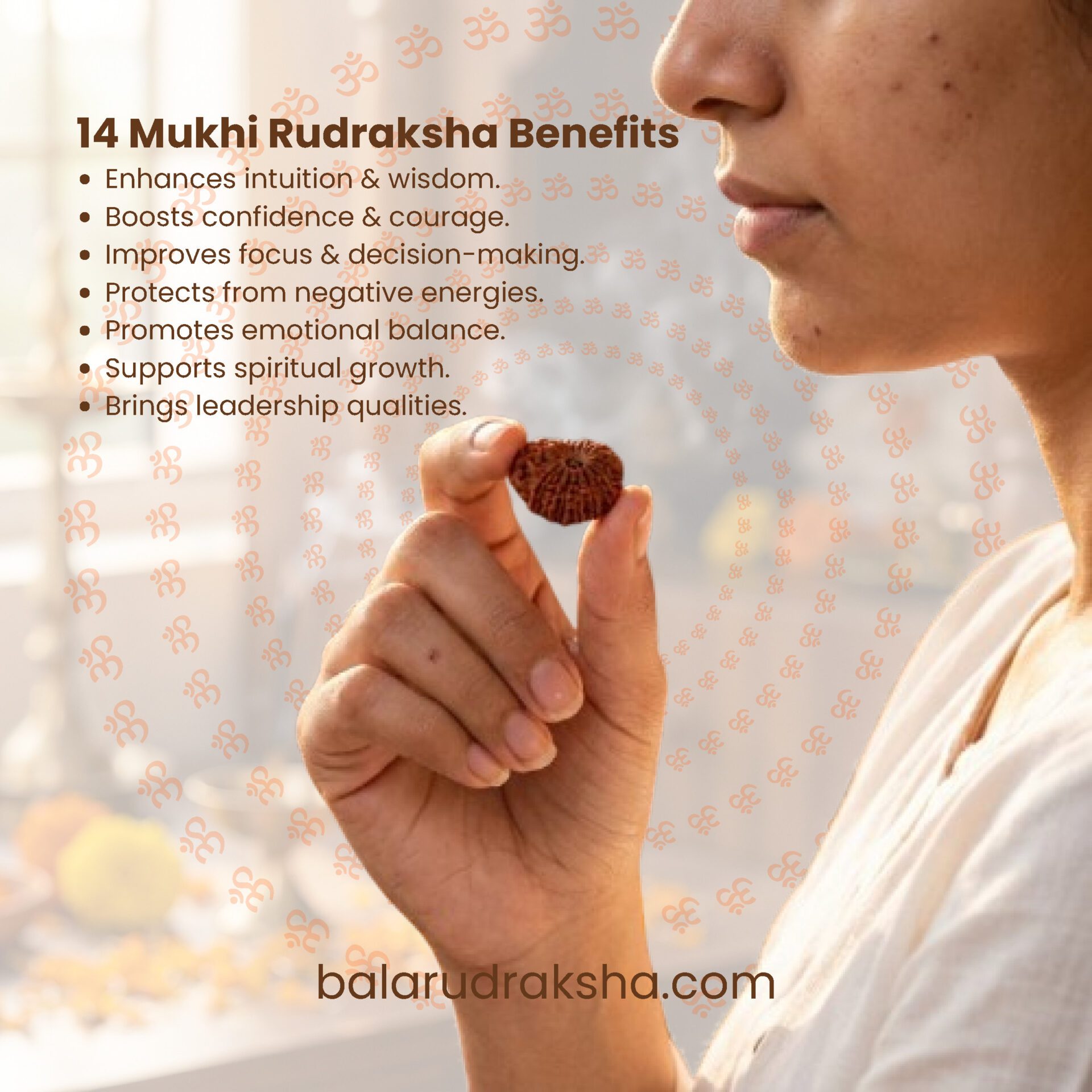 14 Mukhi Rudraksha - Image 2