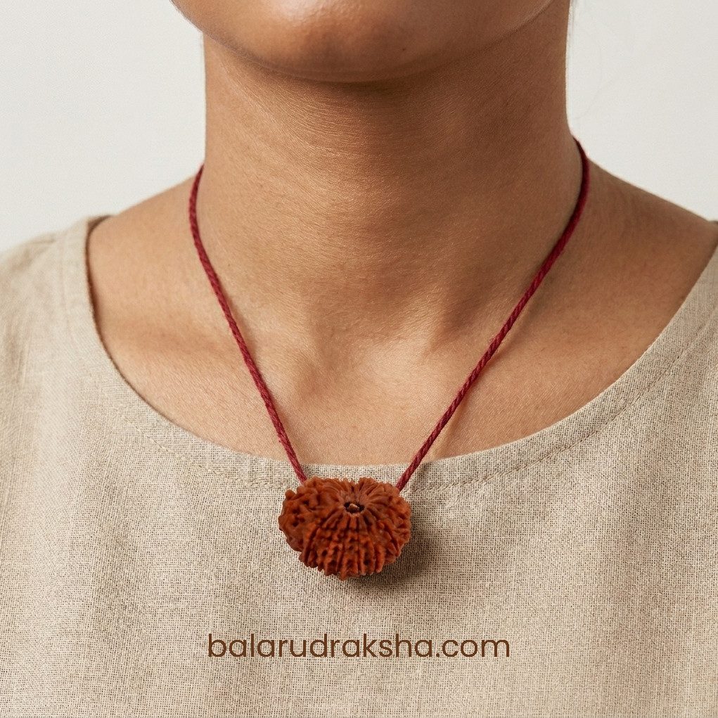 14 Mukhi Rudraksha - Image 3