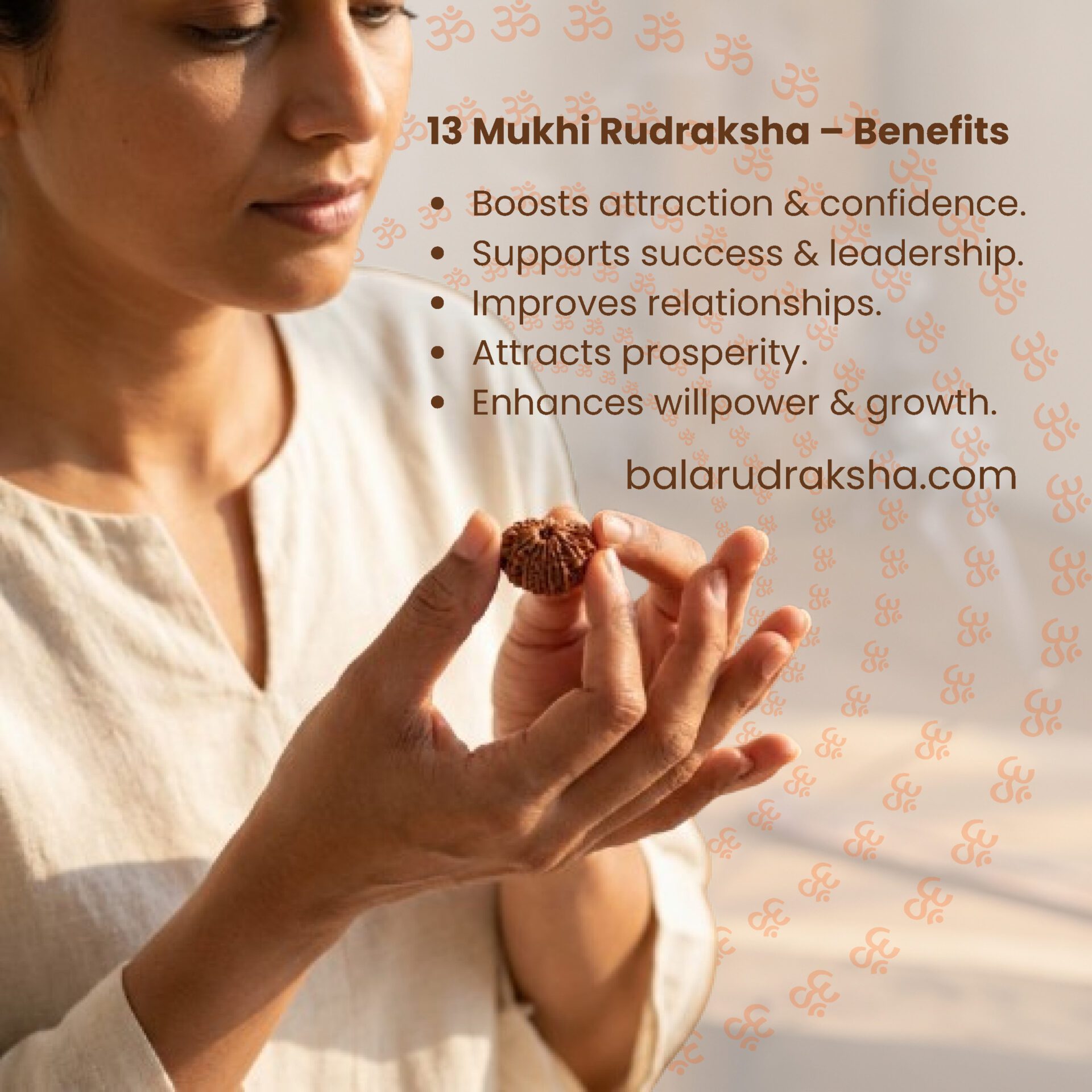 13 Mukhi Rudraksha - Image 3
