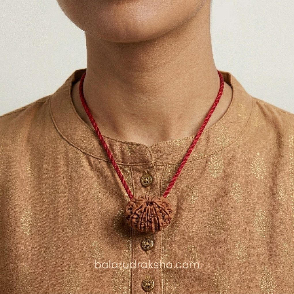 13 Mukhi Rudraksha - Image 2