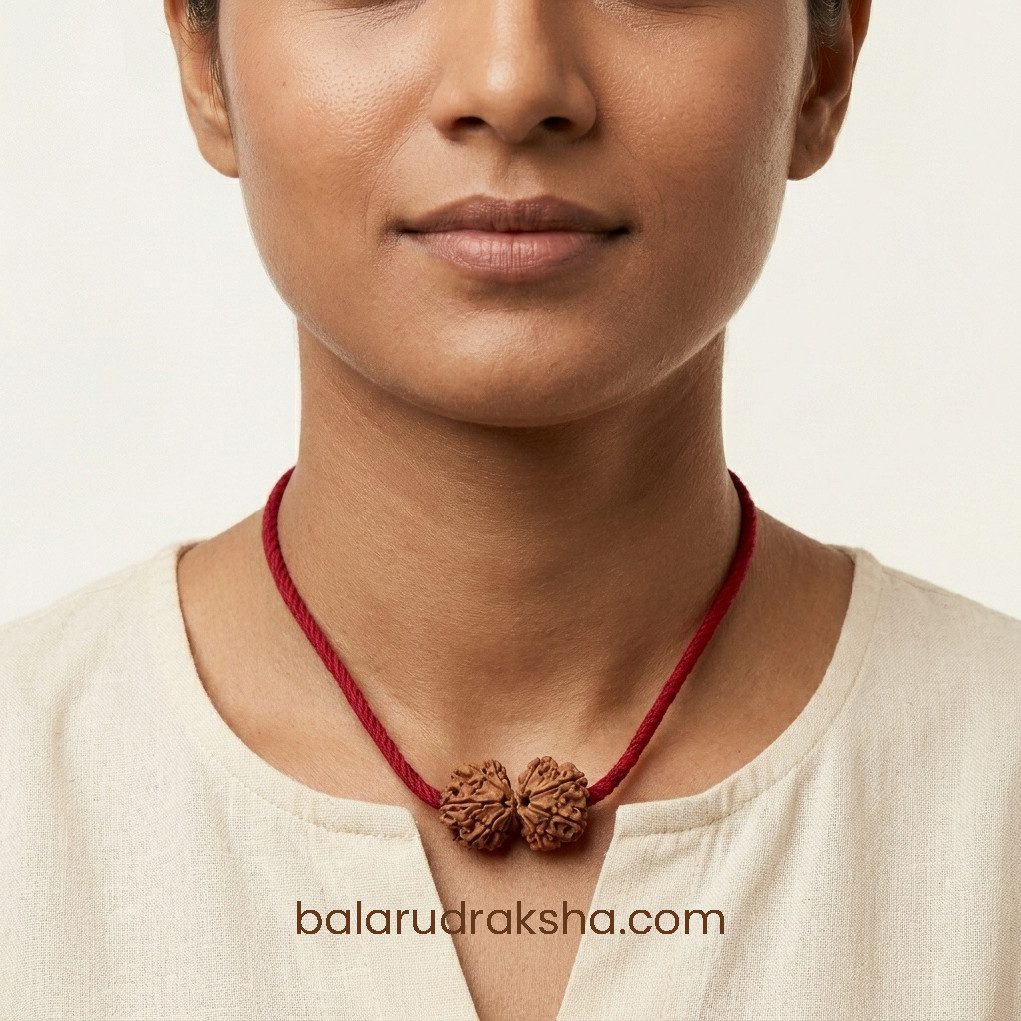 Gauri Shankar Rudraksha - Image 3