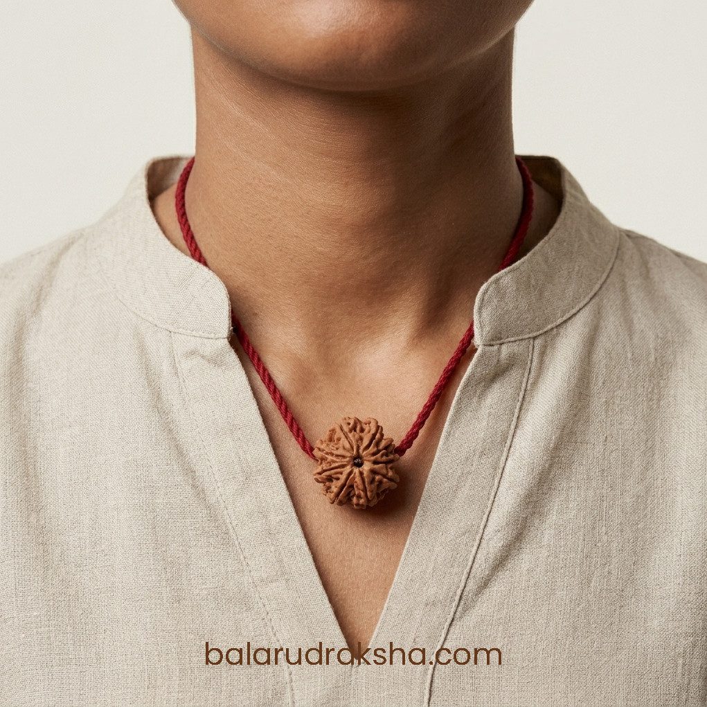 9 Mukhi Rudraksha - Image 3
