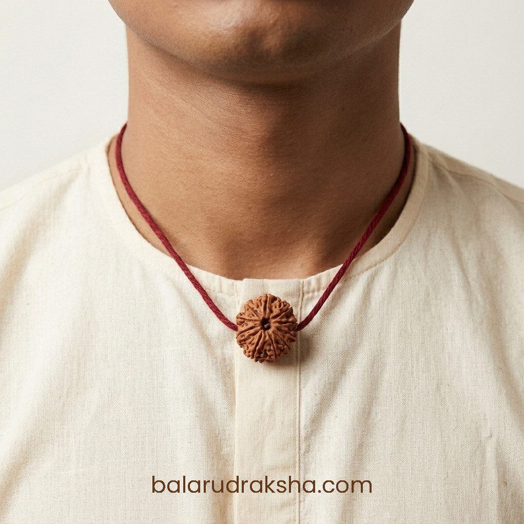 10 Mukhi Rudraksha - Image 5