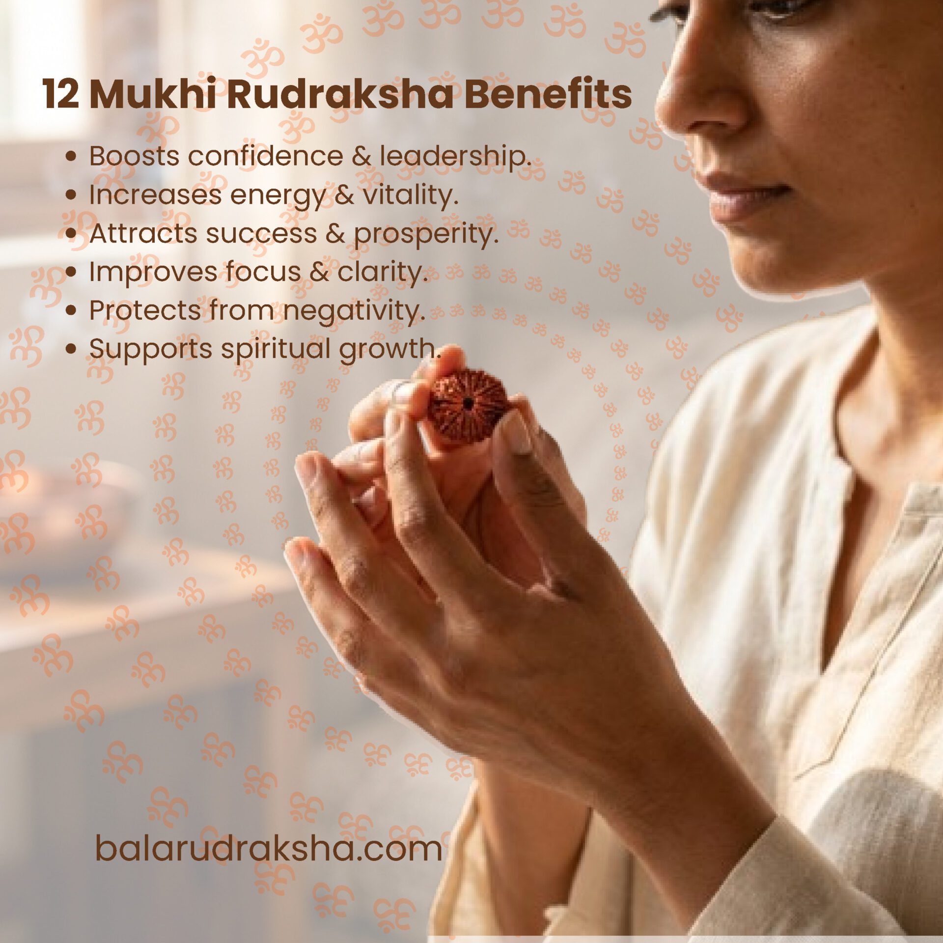 12 Mukhi Rudraksha - Image 2