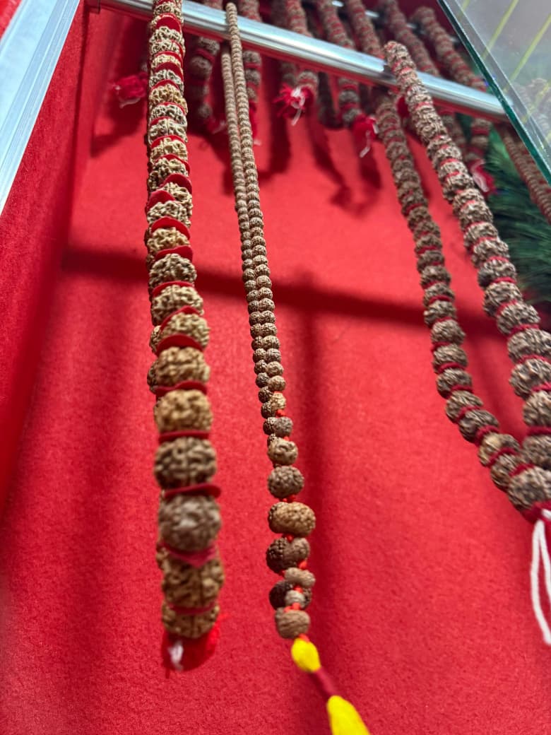 Bala Rudraksha devotion and sacred service