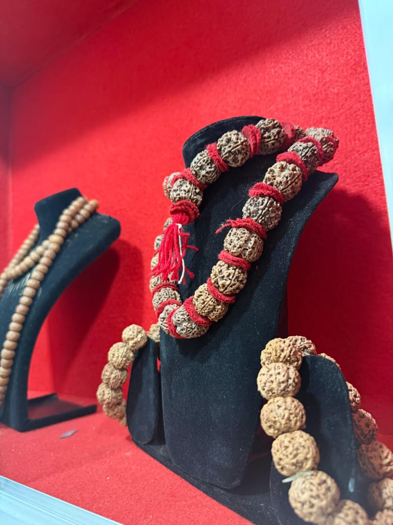 Bala Rudraksha gallery moment